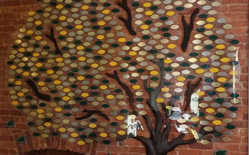 Donor Tree: Chi Eta Phi Sorority